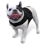 Walkin' Front Dog Vest