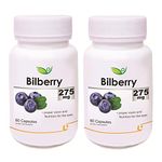 Bilberry Herbal Supplements