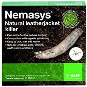 Nemasys le
