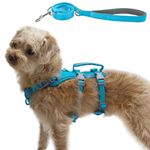 Wuffley Escape Proof Dog Harness and Leash Set, Lightweight Dog Harness with Lift and Assist Handle, No Pull Reflective Pet Vest for Small Medium Dogs, Ideal for Puppy Walking and Training (Blue, S)