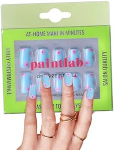 PaintLab P