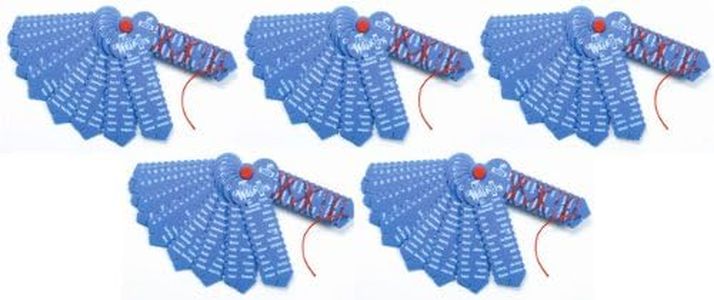 LEARNING WRAP-UPS SELF-CORRECTING US States & Capitals Keys 5 Pack