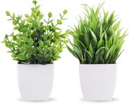 Dekorly Artificial Potted Plants, 2 Pack Artificial Plastic Eucalyptus Plants Small Indoor Potted Houseplants, Small Faux Plants For Home Decor Bathroom Office Farmhouse (Set 0F 2), multi-colour