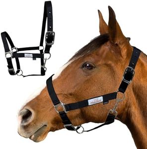 Prairie Horse Supply Nylon Horse Halter, Black - 1 Inch Wide, Horse Halter Adjustable, Horse Harness, Pony Halter, Horse Equipment and Supplies - Ideal for Equestrian Use