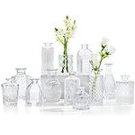 CUCUMI Glass Bud Vases Set of 12, S