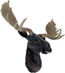 North American Moose Head Bust Wall