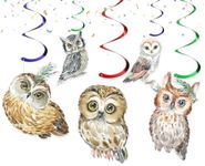 Owl Streamers - Whimsical Owl-Themed Party Decorations for a Hoot of a Celebration