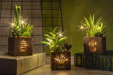 BEGONDIS Set of 3 Artificial Succulents with Led Lights in Wooden Box, Artificial Plants Plastic Fake Topiary for Home/Office Decorations, Table Centerpiece, Valentine's Day