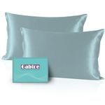 Gabire Mulberry Silk Pillowcases Set of 2, Both Sides Real Silk Pillowcase for Hair and Skin Prevent Acne Pillowcase Organic Silk Pillowcase 2 Pack with Hidden Zipper, Haze Blue, Standard (20"×26")