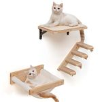 Cat Wall Shelves