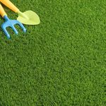 Radha Krishna Agriculture® American Imported Bermuda Lawn Grass Seeds for Home and Gardening (PACK OF 800 grm SEEDS)
