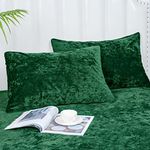 PHF Truly Velvet Pillowcases Standard Size, No Insert, 2 Pack Ultra Soft Breathable Pillow Shams Covers with Envelope Closure, 20" X 26" Luxury Cozy Warm Fuzzy Flannel Pillow Cases, Emerald Green