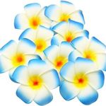 Casa Azul Artificial Foam Frangipani Champa Hawaii Beach Water Floating 7cms Big Flowers, Plumeria Flower for Home Decor, Festival, Pooja, DIY Craft -Blue (Pack of 10)