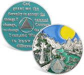 CHURYUML 7 Year Sobriety Coin Seven Year Sobriety Chip Sobriety Gifts for Women Men AA Coins and Medallions Alcoholics Anonymous Addiction Recovery Gift Sober Anniversary Gifts