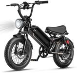 Jasion YR16 Electric Bike for Adult