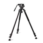 RAUBAY 70.8" Video Camera Tripod, Heavy Duty Tripods Stand with 360° Pan & 165° Tilt Fluid Head, 75mm Bowl Base, Aluminum Single Tube Legs, QR Plate, Max. Load 17.6lb for DSLR Camera, Camcorder (DV-3)