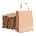 TOWRAP Large Brown Paper Bags with Handles 50Pcs 10x5x13 Inch Kraft Gift Bags Bulk, Shopping Bags, Retail Bags, Party Favor Bags