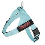 BULLHUG Harness – Made for Larger Chested Dogs Like English Bulldogs, French Bulldogs, Pugs & More. Stops Dogs from Pulling & Choking on Walks