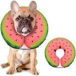 Dog Cone Collar for Small Medium La