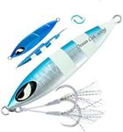 Ocean Cat Deep Water Fast/Slow Sea Metal Lead Jig Jigging Fishing Lures Baits Tackle 100g/150g/200g/250g 240lb (Blue & Silver, 250g)
