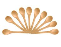 FOYARA Small Wooden Salt Spoon Solid Wood Condiments Spoon Handmade Honey Teaspoon 5 inch - Set of 10