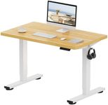 FLEXISPOT E1 Plus ONE PIECE Electri