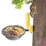 Unique Squirrel Feeders