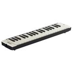 Yamaha P-37EBK Adult Pianica 37 Keys Black with Red Stitching Accent Soft Case (Blk)