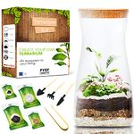 DIY Terrarium Kit for Plants - Terrarium Starter Kit for Garden in Bottle - Self Sustaining Ecosystem - Plant Terrarium Kit with Jar - No Plant (Kit with Jar)