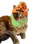 NIXBYO Halloween Pumpkin Cat Hat Adjustable Pumpkin Hat Cosplay for Kitty Small