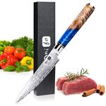 Dnifo Kitchen Utility Knife 5 Inch, Damascus Steel Kitchen Knives -Super Sharp Ultimate All-Purpose Knife for Slicing, Mincing, Chopping - Non-Stick Blade and Anti-Rusting Forged