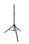 Ultimate Support TS110B Speaker Stand