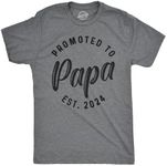 Mens Promoted to Papa 2024 Tshirt F