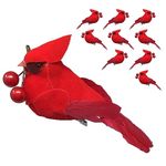 BANBERRY DESIGNS Cardinal Christmas Clip-On Ornaments - Set of 10 Cardinals Carrying Red Berries - Realistic Feathered Wings and Tails Clips Attached - Holiday Wreaths - Approx. 4 Inches