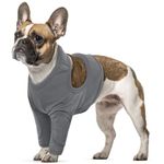 Dog Medical Suit, Dog Leg Wound Protector Dog Recovery Suits Hygroma Dog Elbow Protector Dog Suit Buster Body Front Legs Dog Shoulder Cover (Grey, M)