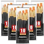 AROIC Acrylic Paint Brushes, 6 Pack