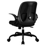 Razzor Office Chair, Ergonomic Computer Desk Chair with 2D Lumbar Support and Flip-up Arms, Swivel Breathable Mesh Task Chair with Adjustable Height for Home Office (2203, Black)