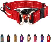 EZYDOG Double Up Dog Collar | Dog Collar Small, Medium, Large Dogs, Reflective Dog Collar, Supreme Comfort, Soft Neoprene Material, Strong Nylon Webbing (X-Large, Red)