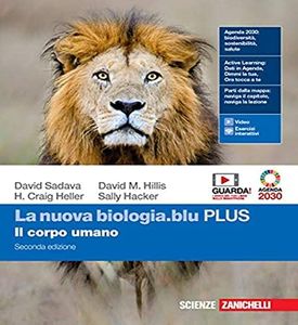 La nuova b