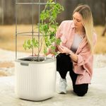 Vego garden Tomato Planter Box with
