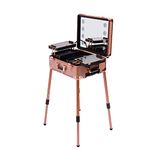 Cosmetic Case, Trolley Vanity Case, Cosmetic Make Up Organiser Case 3 in 1 Professional Large Vanity Case Hairdressing Case Beauty Case Lockable Aluminium Multi Case 4 Wheels LED Light & Support Leg,