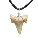 Natural Shark Tooth Necklace for Boys, Genuine Fossil Shark Teeth Jewelry for Men, Cool Beach Necklaces for Teen Girls, Beachy Surfer Necklace for Women (16" Black Leather)