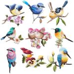 9 Pieces Cute Birds Patch Appliques