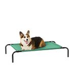 Amazon Basics Raised Dog Bed, Cooling Breathable Elevated Pet Bed, M, Green, 110 x 65 x 19 cm (L x W x H)