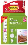 Command Picture & Frame Hanging Strips Value Pack, Large, White - 12 Pairs (24 Strips) - Damage Free Hanging - For Pictures, Frames, Mirrors, Wall décor and Signs