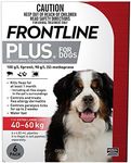 FRONTLINE 