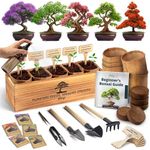 DIY Bonsai Tree Kit for Beginners –
