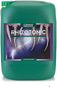 Canna Rhiz