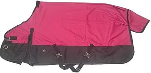 TGW RIDING Comfitec Essential Stand