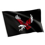 Desert Cactus Eastern Washington University NCAA 100% Polyester Indoor Outdoor 3 feet x 5 feet Flag (Style 3a)